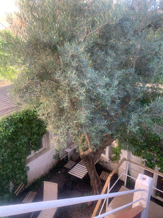 Estupenda Suite Con Entrada Independiente Cerca A Ifema Y Barajas Madri Exterior foto